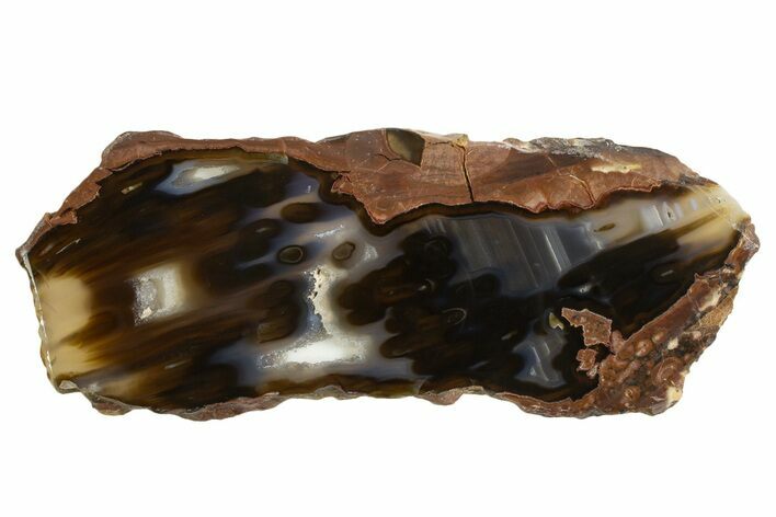 Polished Big Oak Springs Agate Slab - Oregon #335040